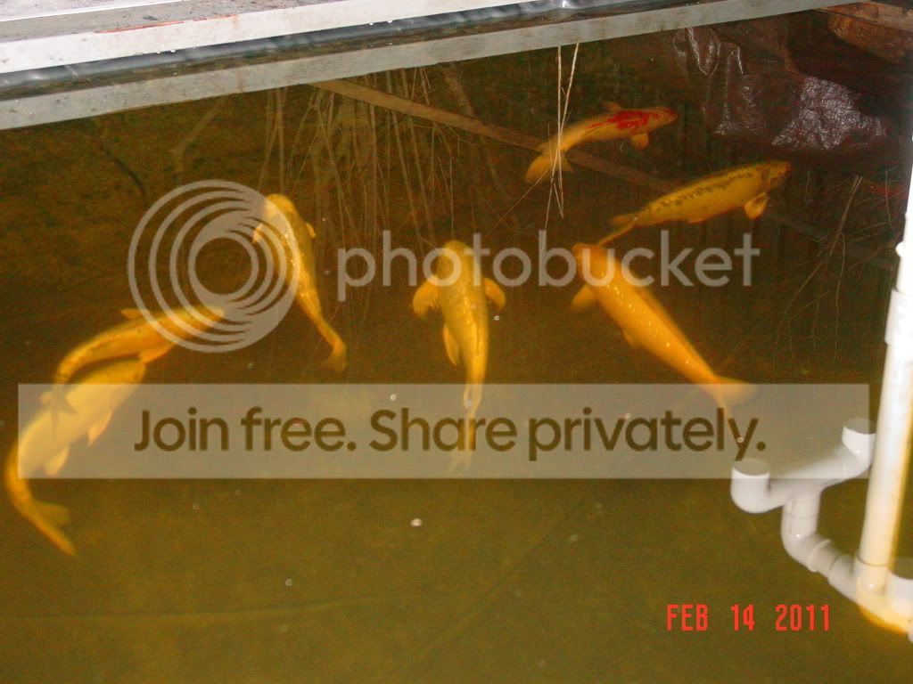 DSC01753.jpg