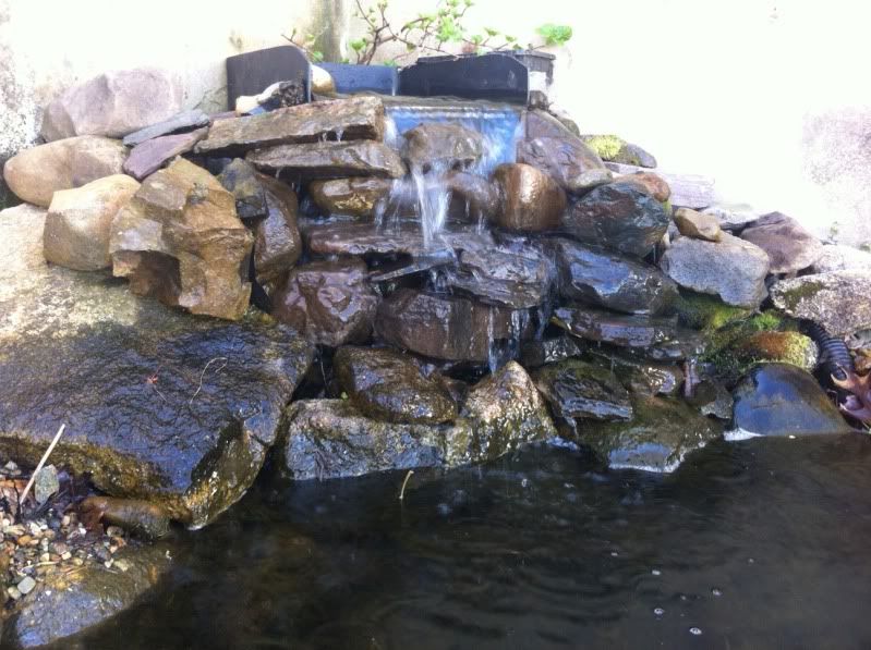 photo2.jpg