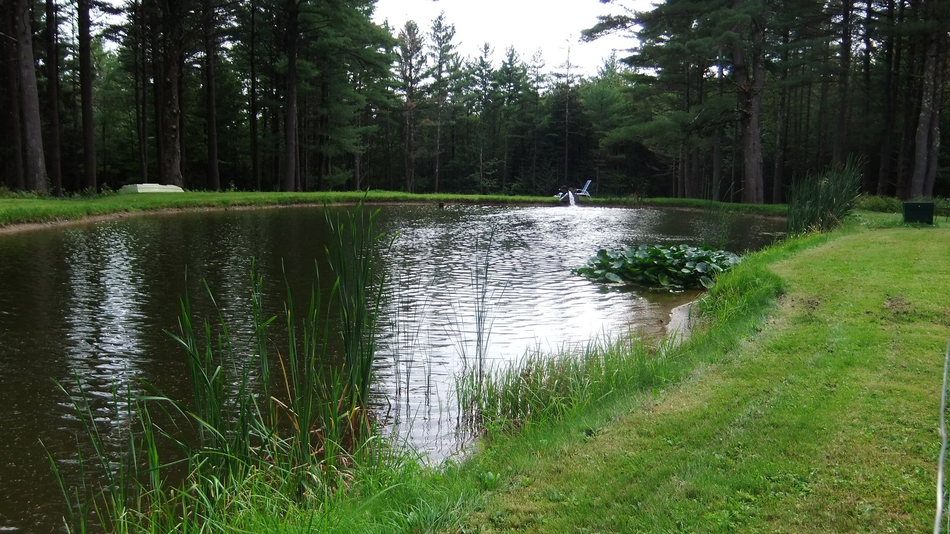 DSCF8722.jpg