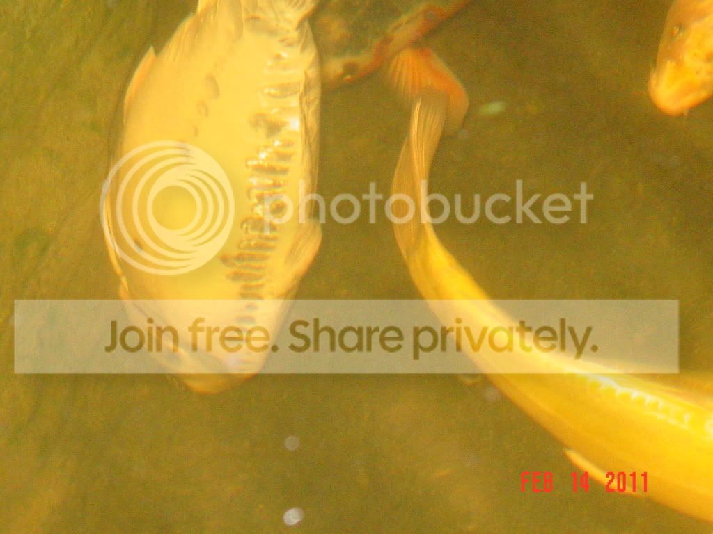DSC01762.jpg