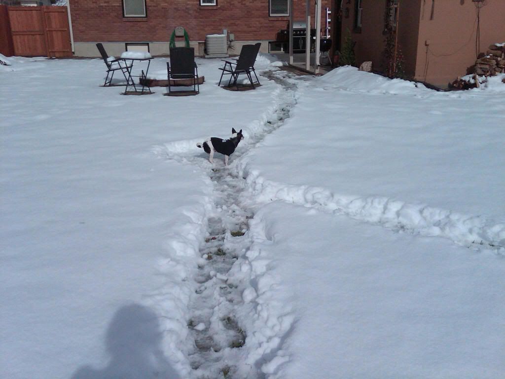 IMG00178-20101122-1159.jpg