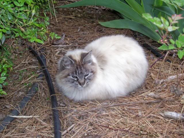 100_4356.jpg