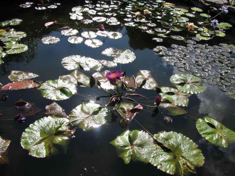111116_IMG38.jpg