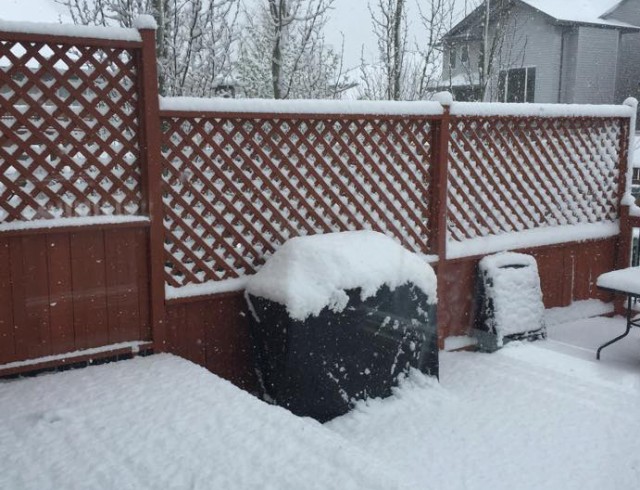 snow2_1537.jpg