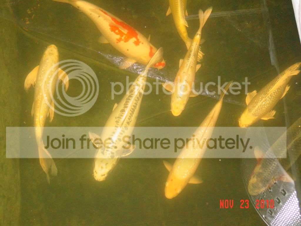 DSC01646.jpg