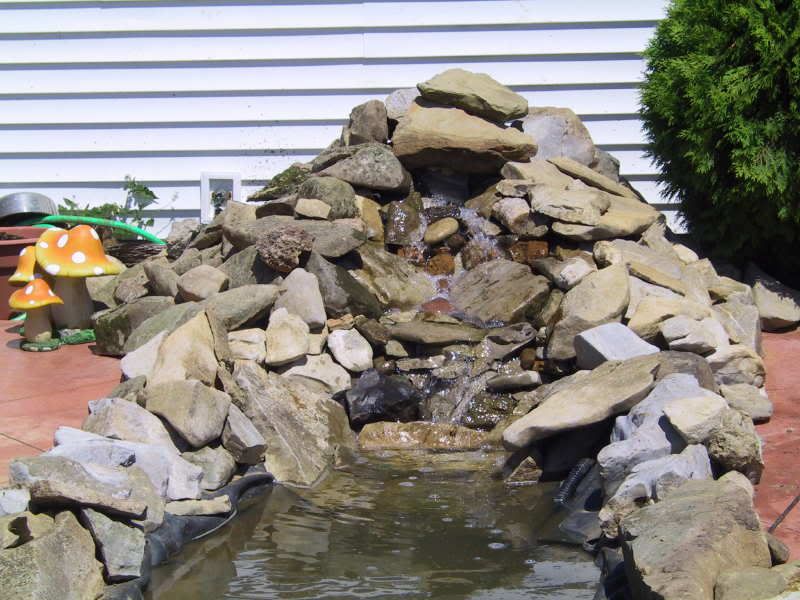 pond1_6-27-09.jpg