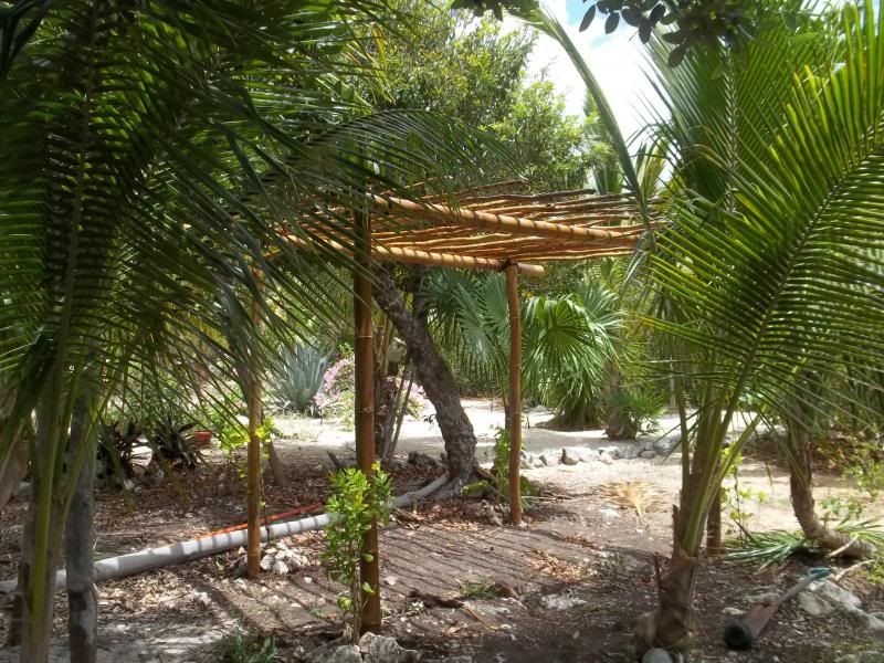 arbor003_zpsd7993b69.jpg