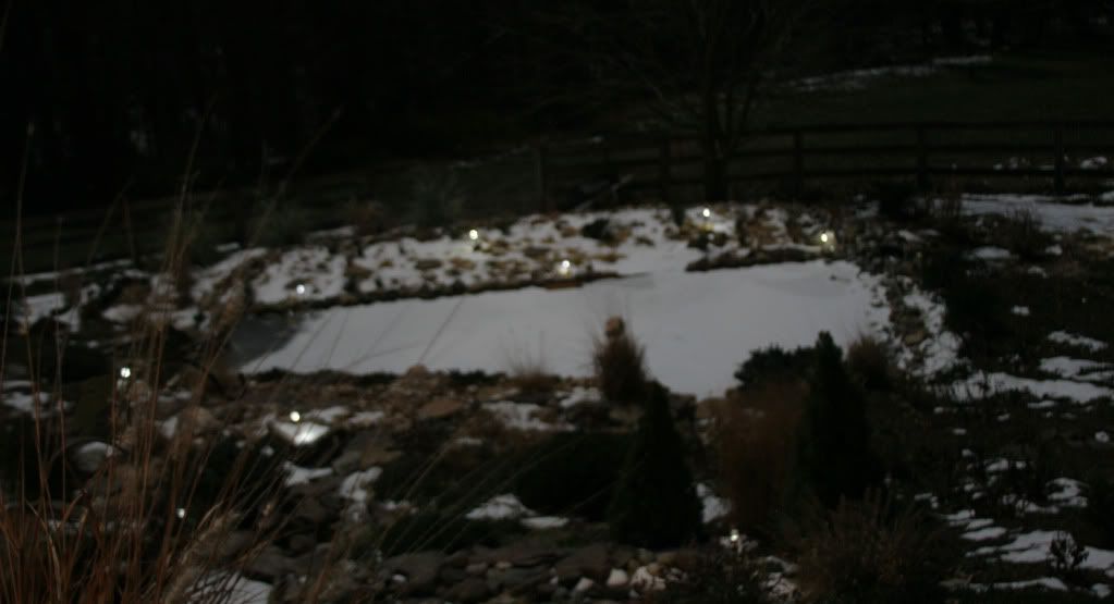 fullmoonpond.jpg