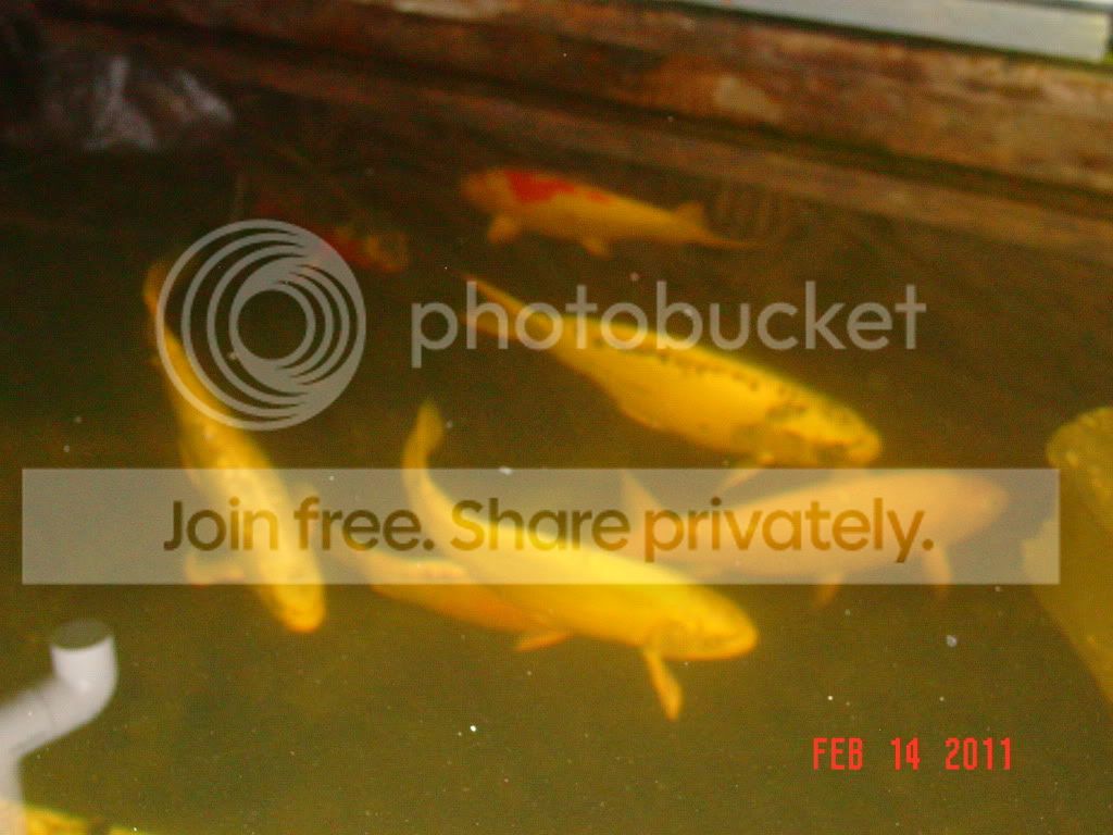 DSC01756.jpg