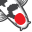 nextdaykoi.com