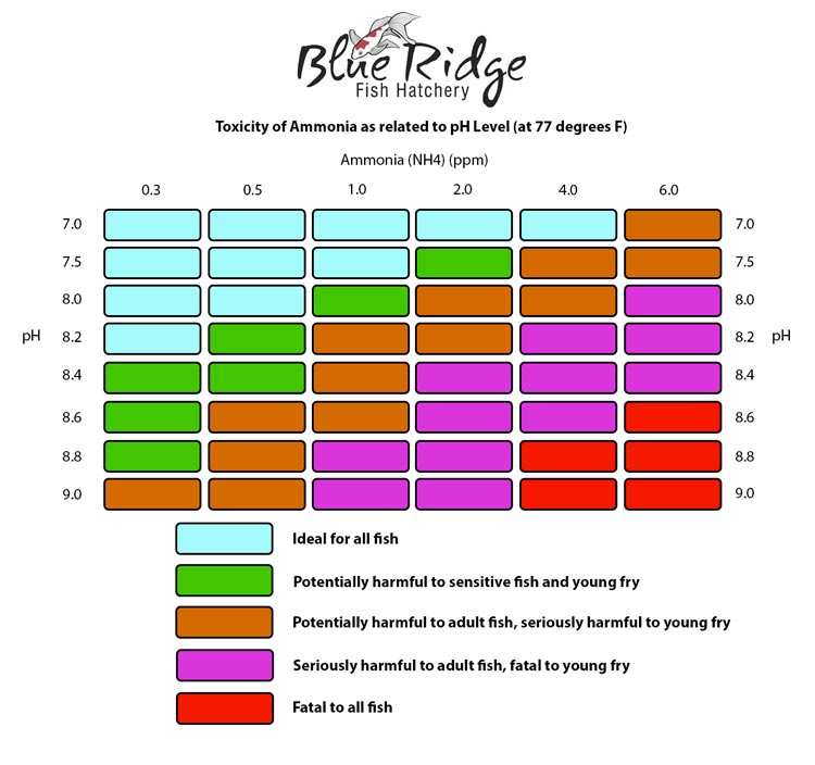 ammonia_ph_chart.jpg