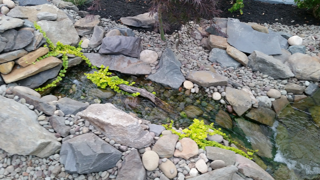 20140627_201359-XL.jpg