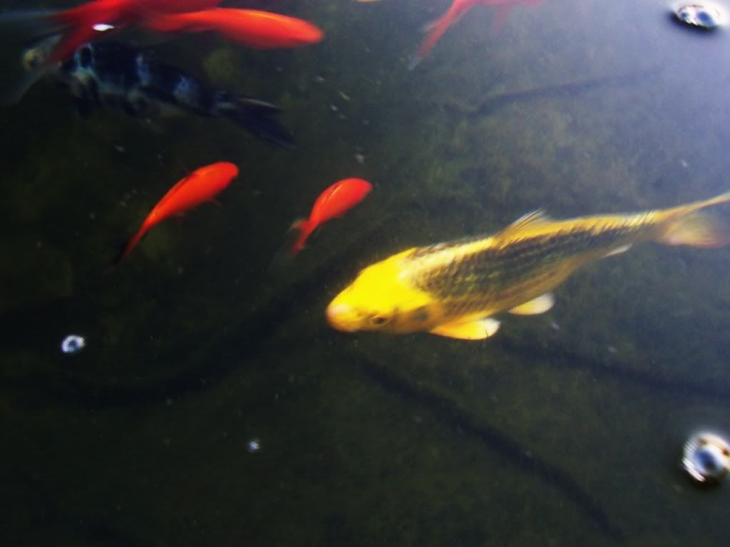 100_0273.jpg
