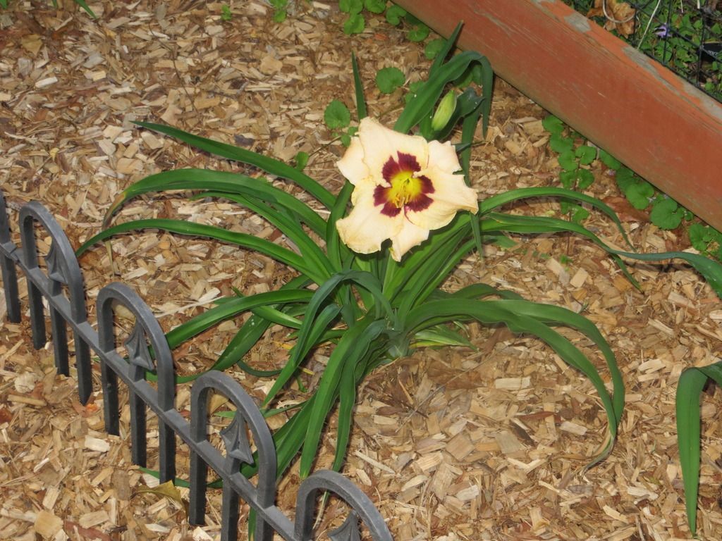 IMG_1209.jpg