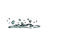fish-jumping6.gif