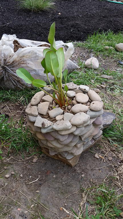 20140610_161242-XL.jpg