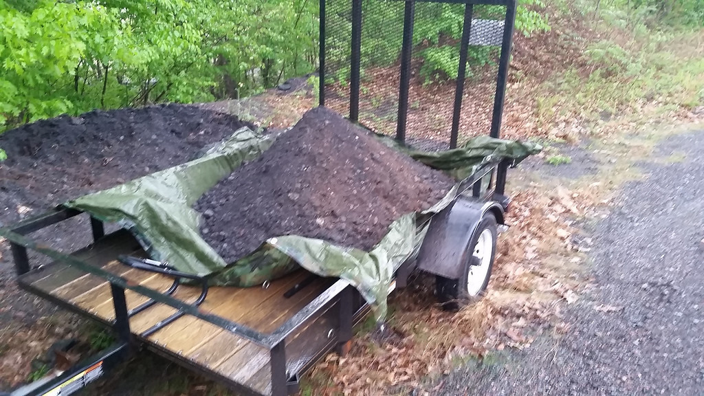 20140523_174559-XL.jpg