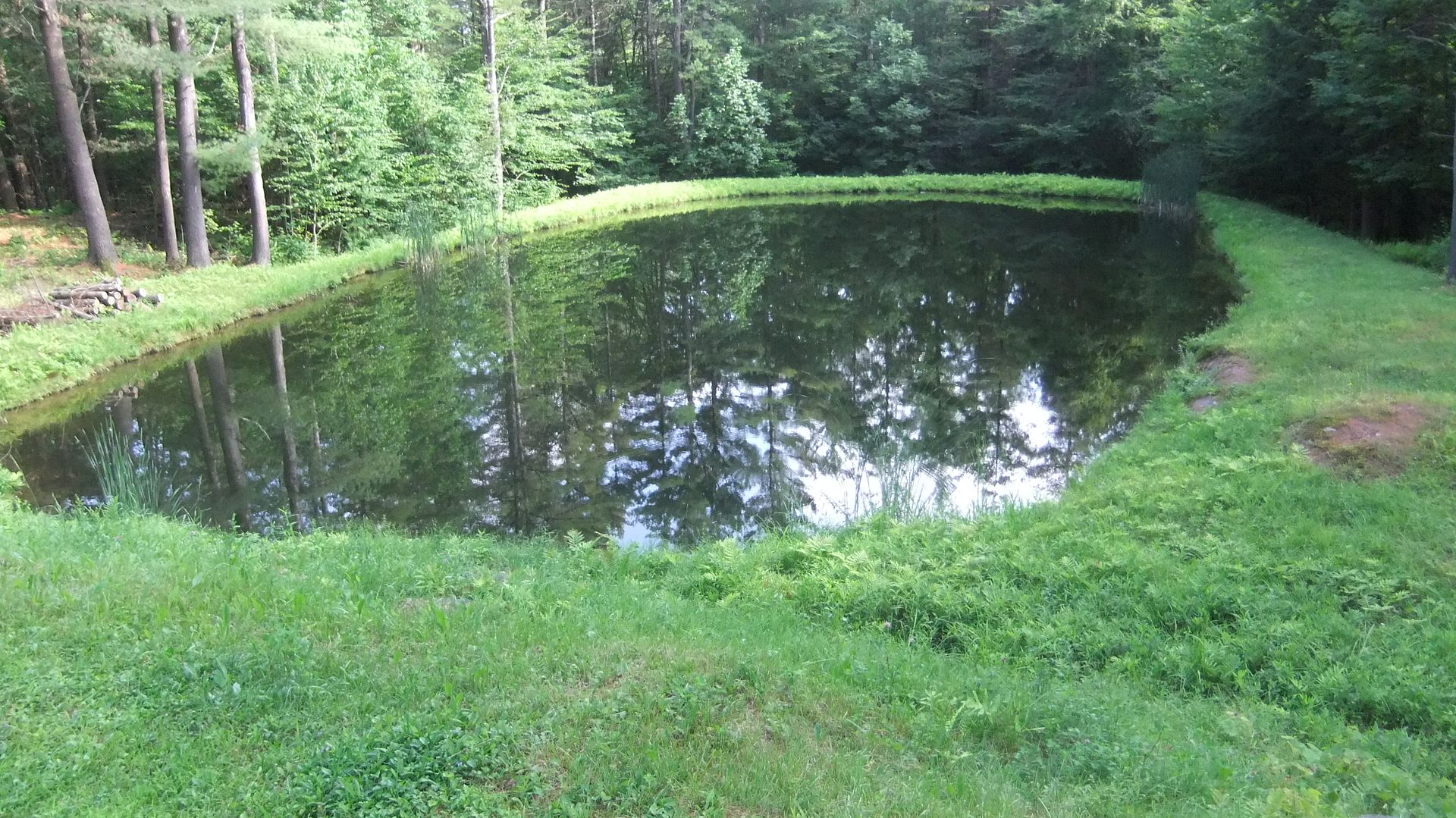 picsoftroutpond008.jpg