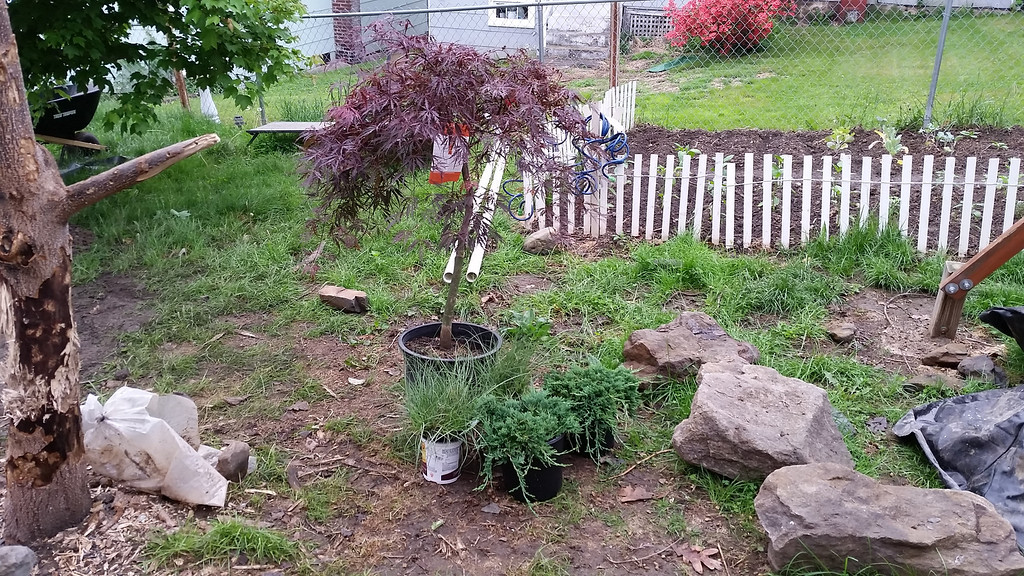 20140522_085955-XL.jpg