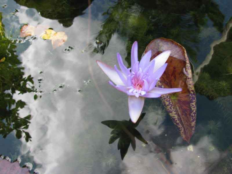 111116_IMG32.jpg