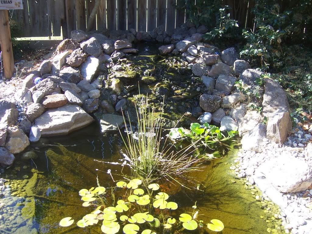 Pictures175.jpg