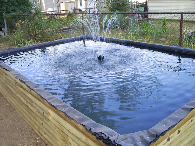 S5031868.JPG