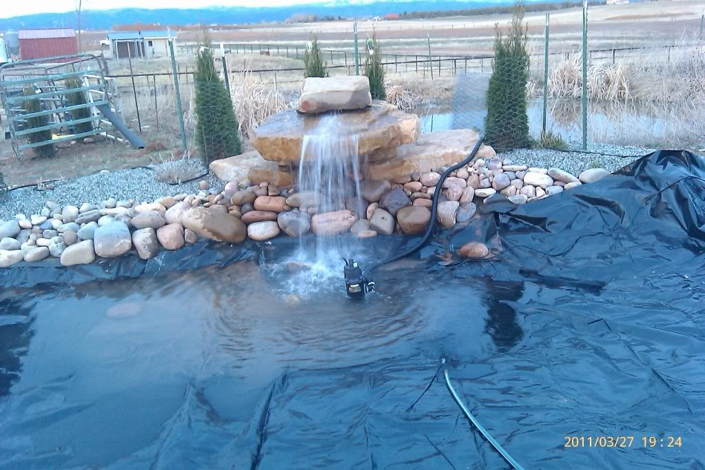 IMAG0281.jpg