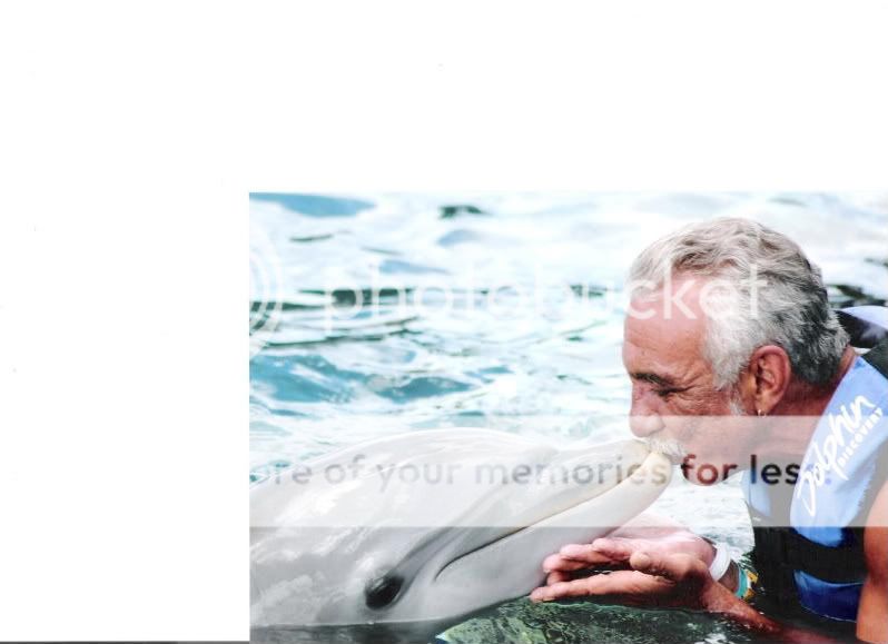 dolphins3001.jpg