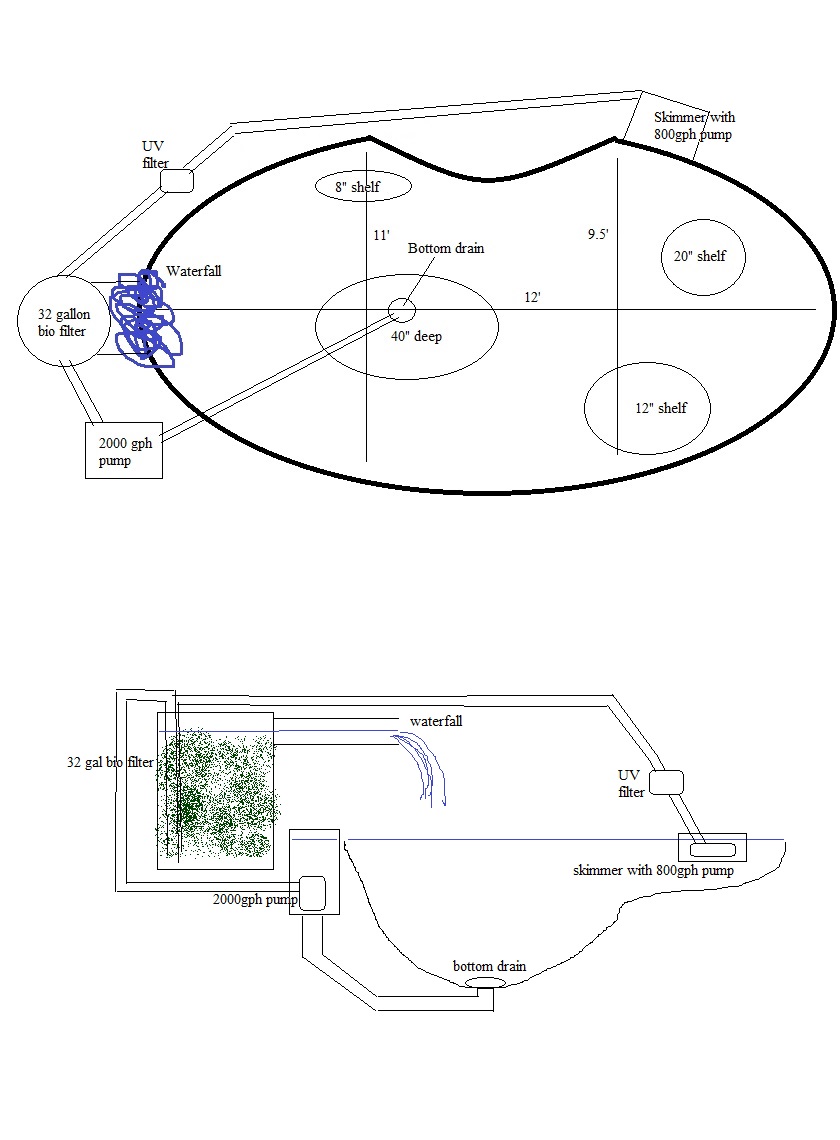 Pond%20plans%20top%20view.jpg