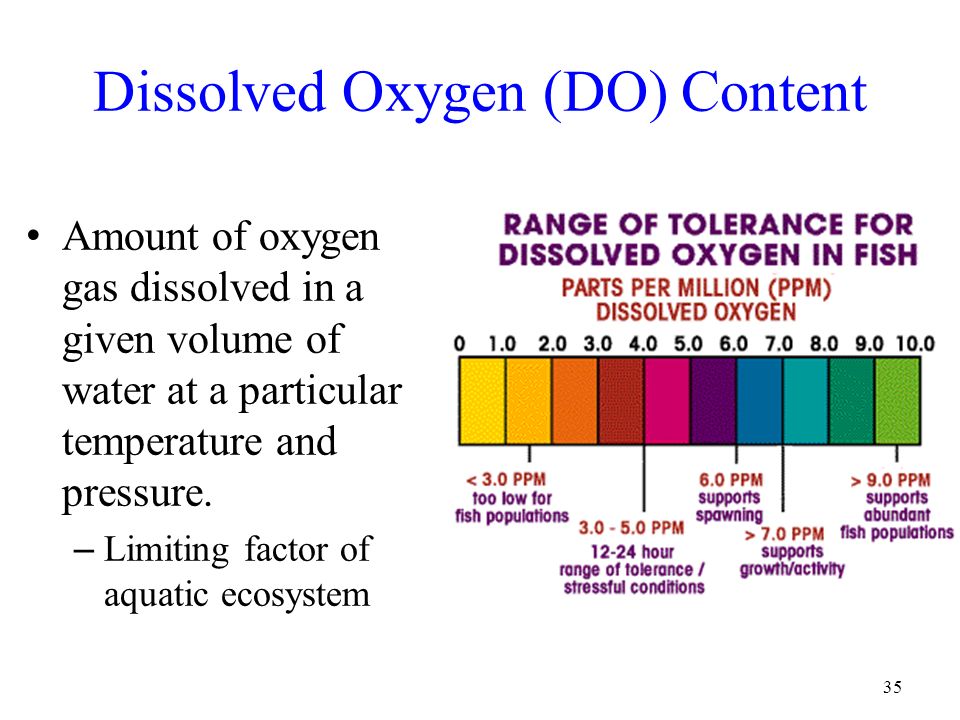 Dissolved+Oxygen+%28DO%29+Content.jpg