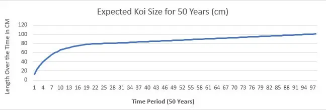 Expected-Koi-Size-For-50-Years.jpg.webp