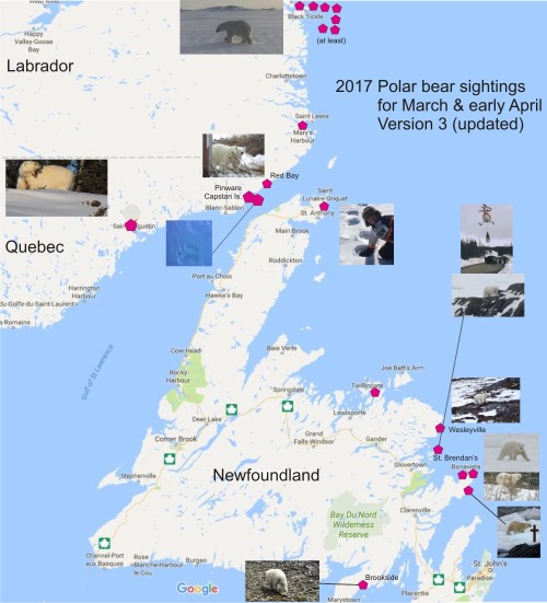 east-coast-march-april-polar-bear-sightings-2017-v3_9-april.jpg