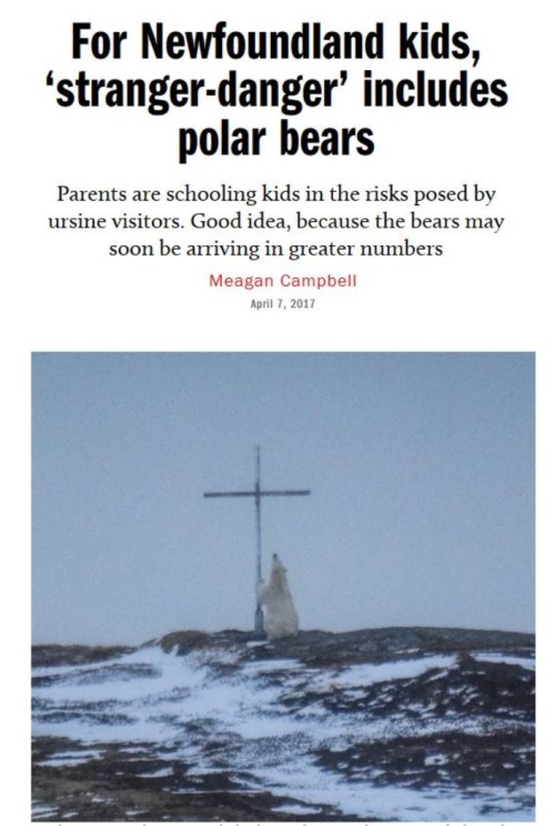 macleans-7-april-2017-polar-bear-headline-with-photo_sized1.jpg