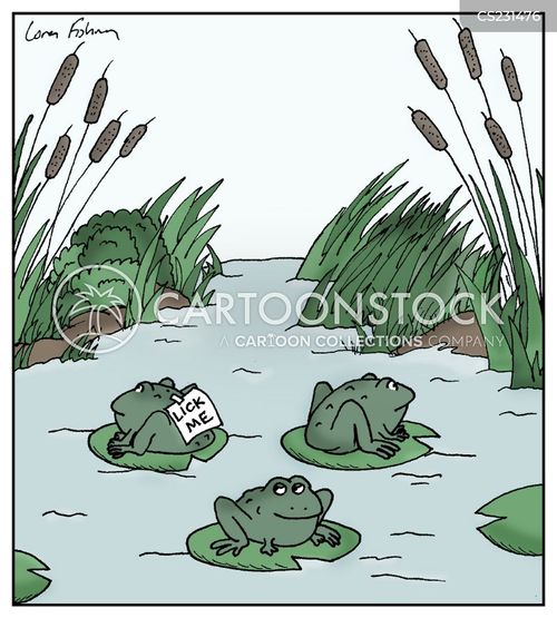 animals-frog-toad-poison-lick-drug-lfin441_low.jpg