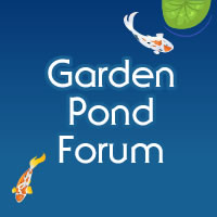 How Do You Keep Snakes Out of Your Garden Ponds? | Garden Pond Forums